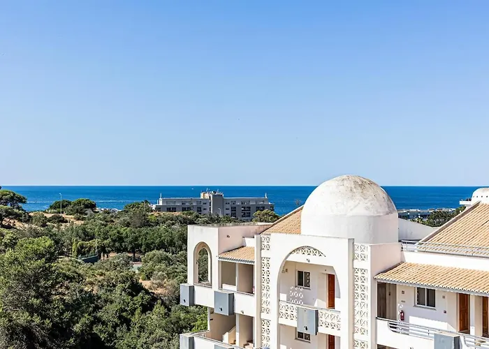 Le Bleu De La 阿尔布费拉